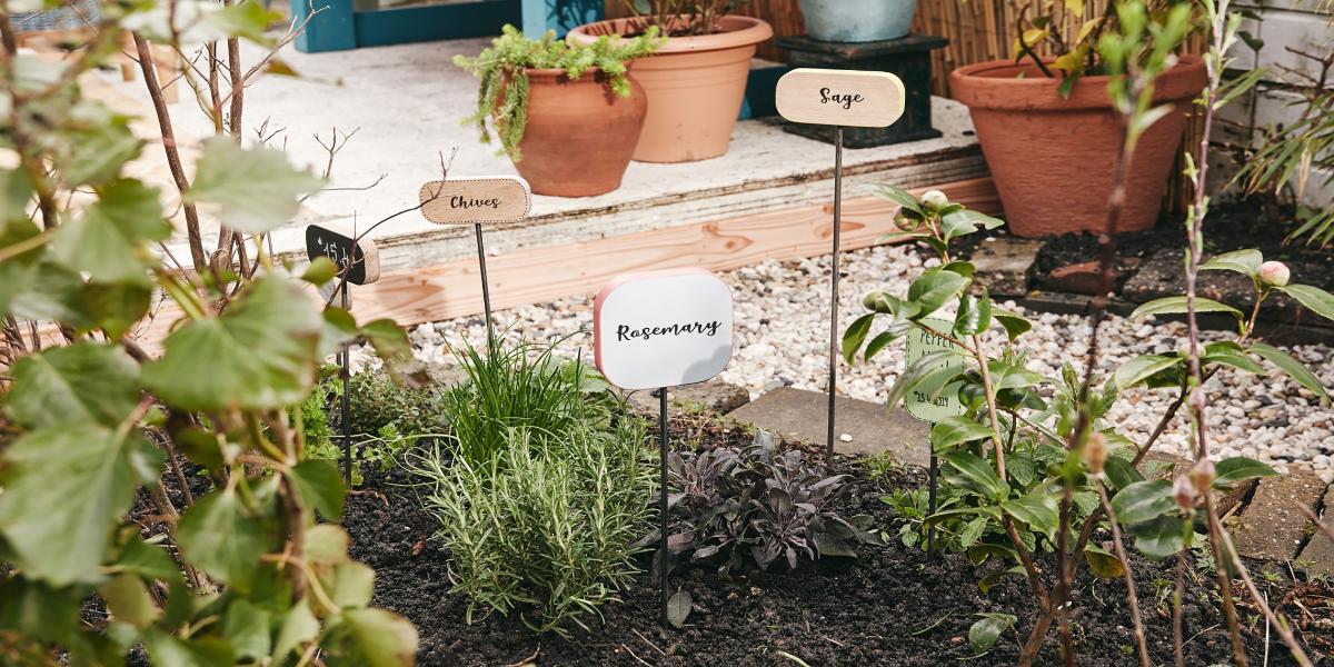 Für den perfekten Kräutergarten: dekorative Pflanzenschilder zum selber  machen