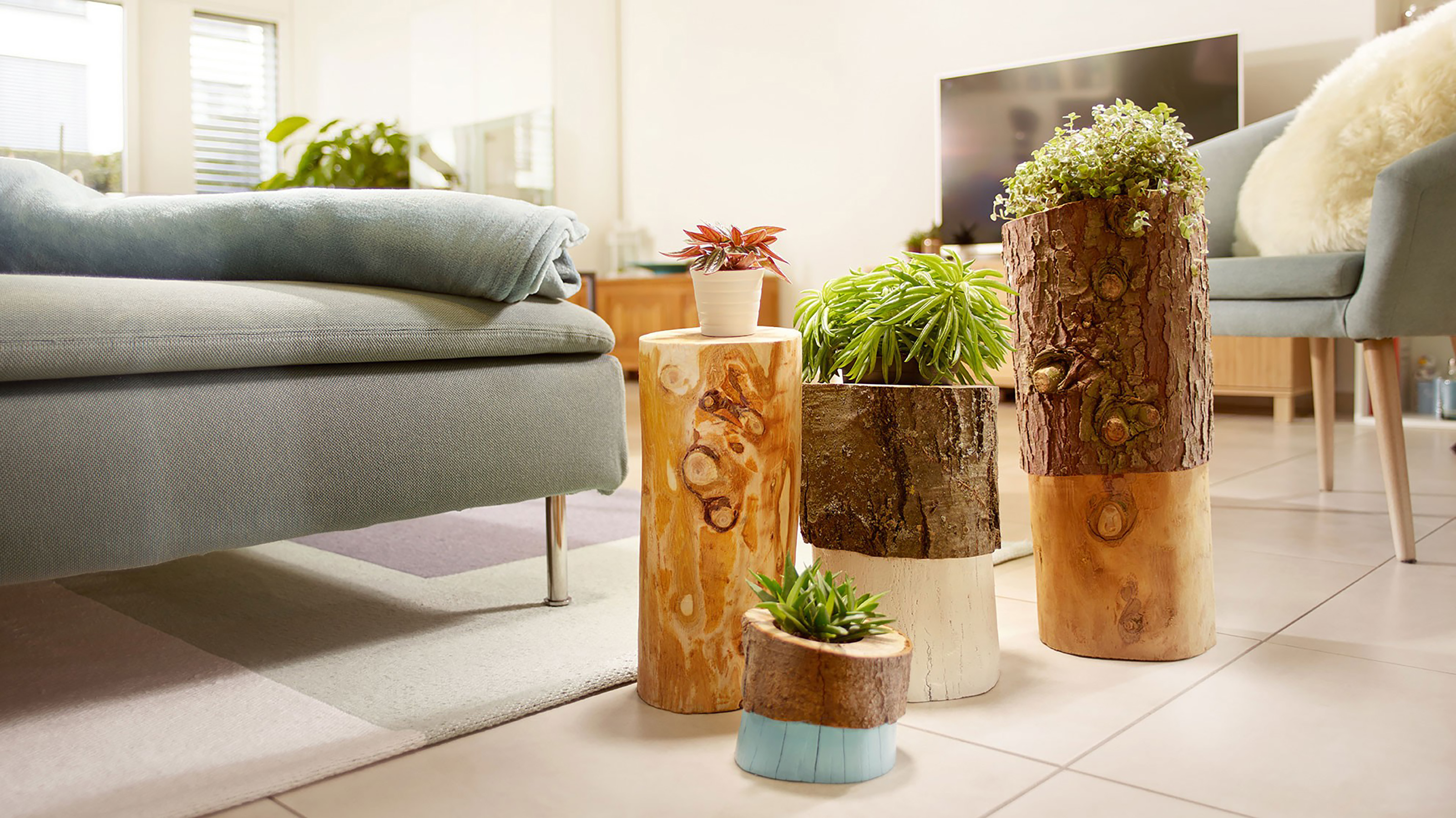 Image of Flowerpot filled with wood chips
