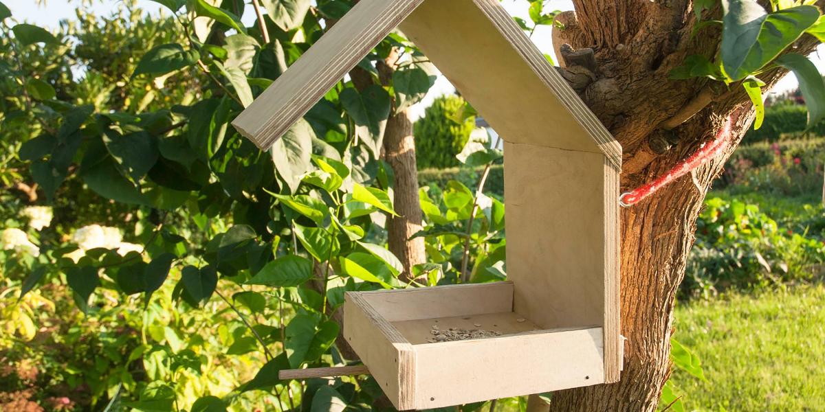 expositie Zoeken bad Maak een vogel voederhuisje met maar één stuk gereedschap! | Bosch DIY